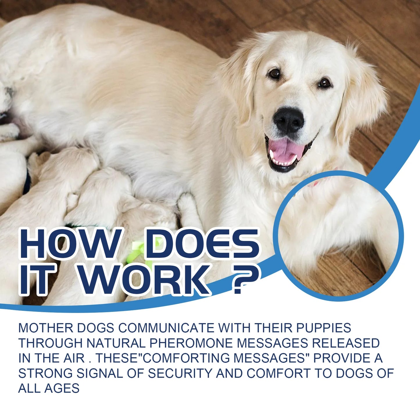 Kalmerende Vloeistof voor Huisdieren – 48 ml